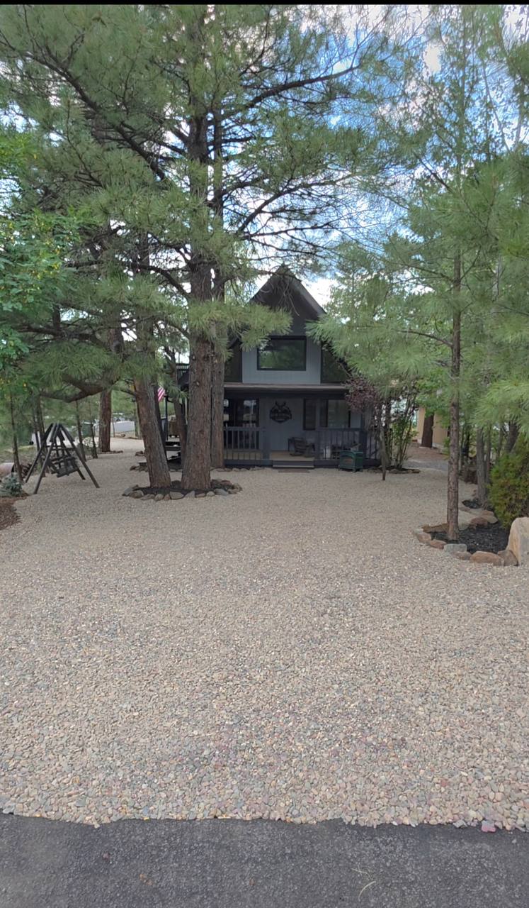 Cabin approach through pines